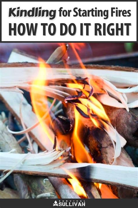Kindling for Starting Fires: How To Do It Right .